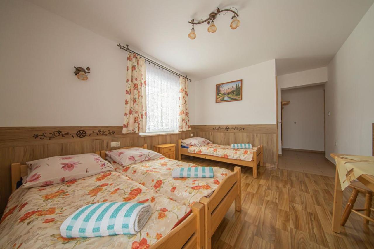 Dw Maria 2 Panzió Zakopane Kültér fotó